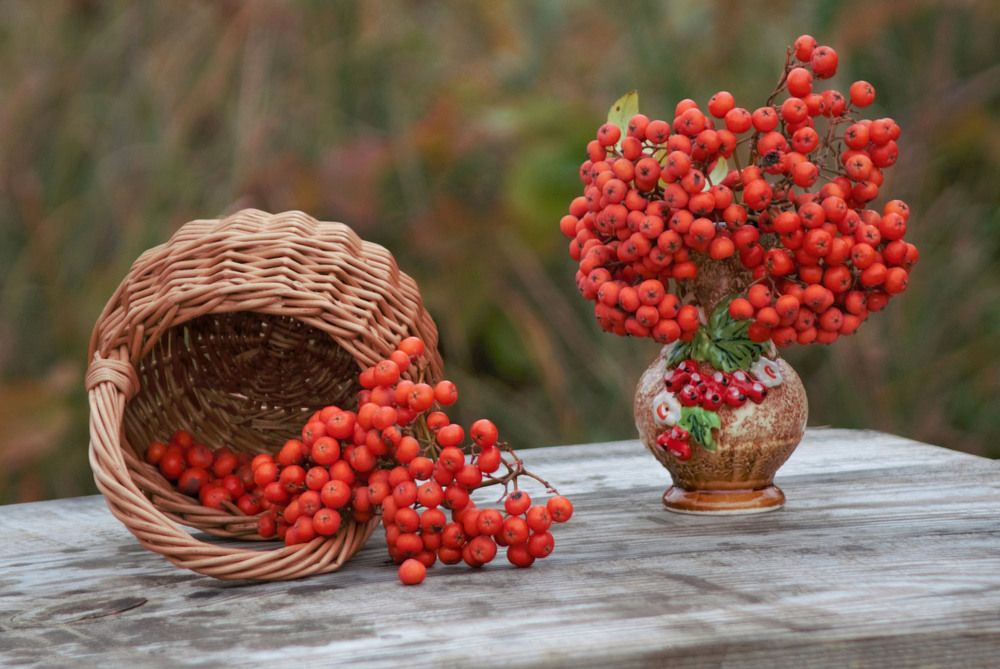 Фотография автора Валентина Гундарева