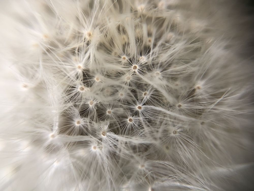 Photograph by Ольга Гаврилова