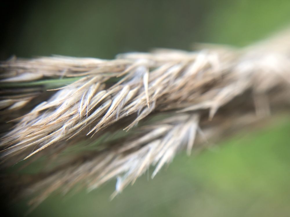 Photograph by Ольга Гаврилова