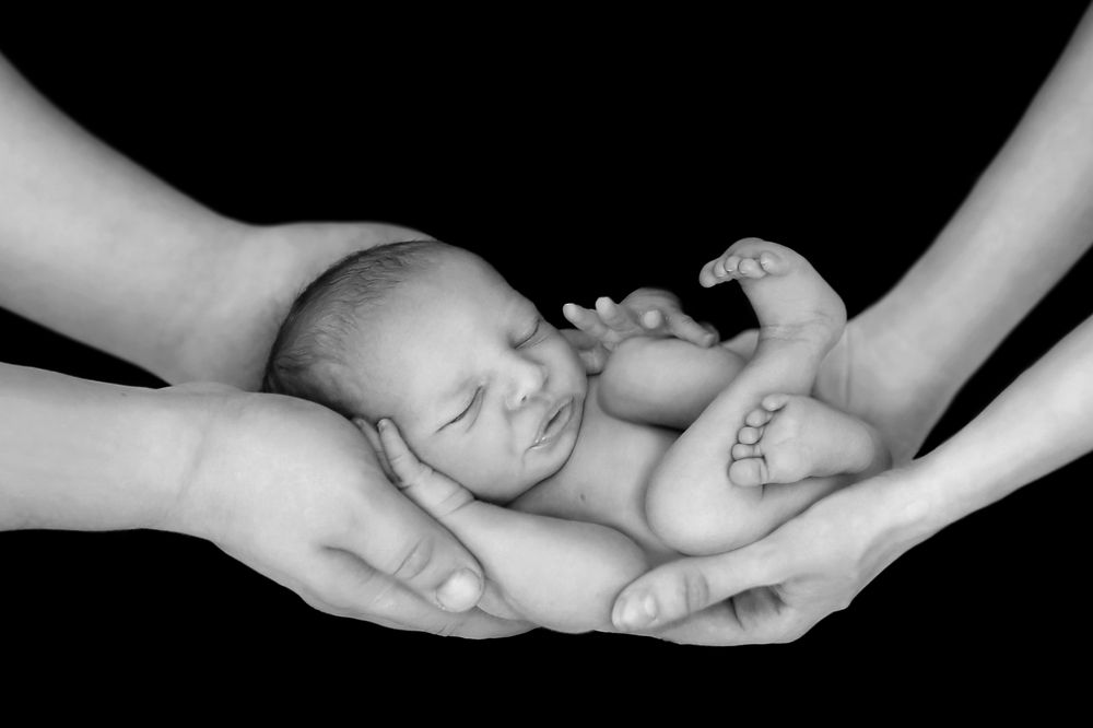 Photograph by Склярова Анастасия