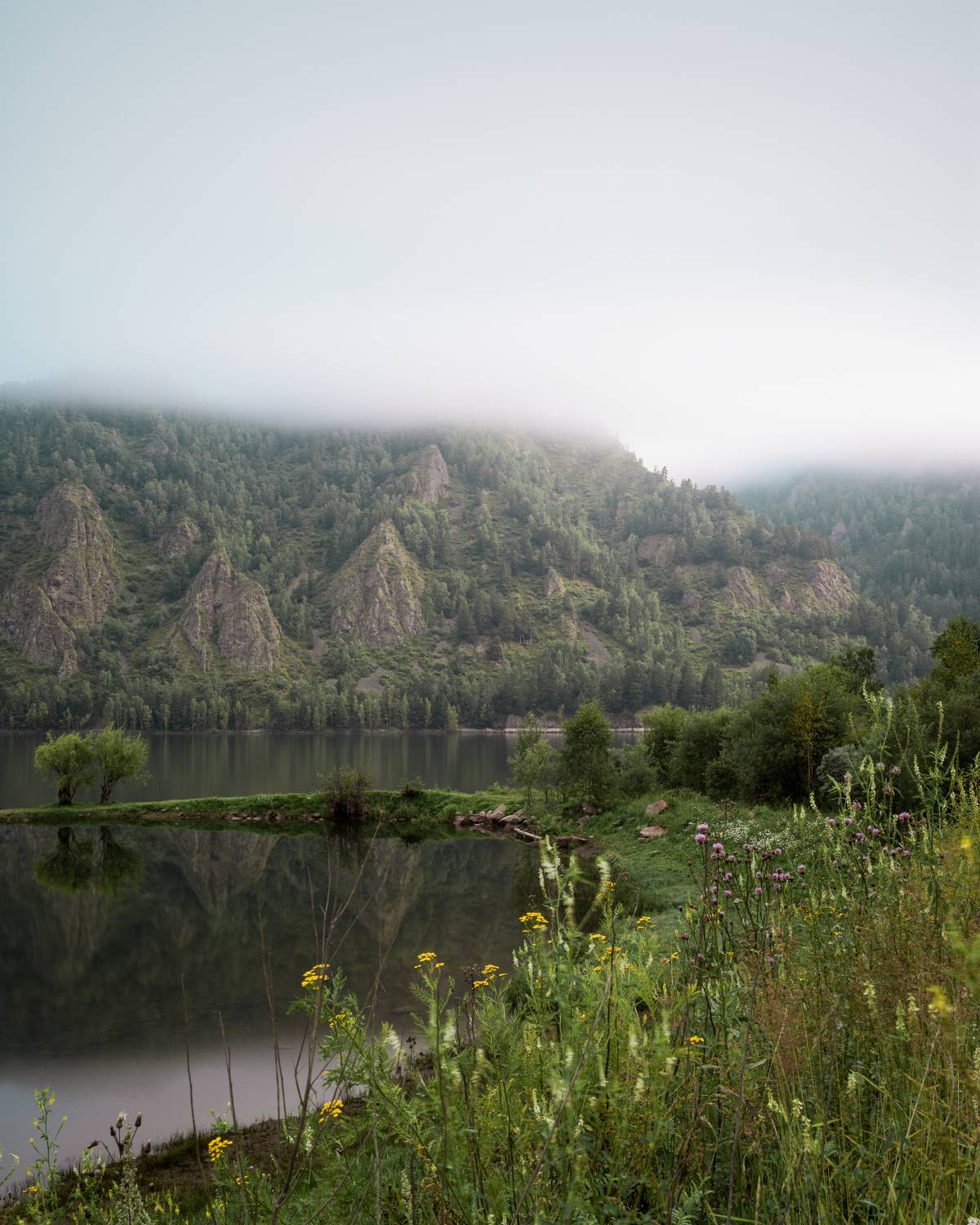Photo #6403636