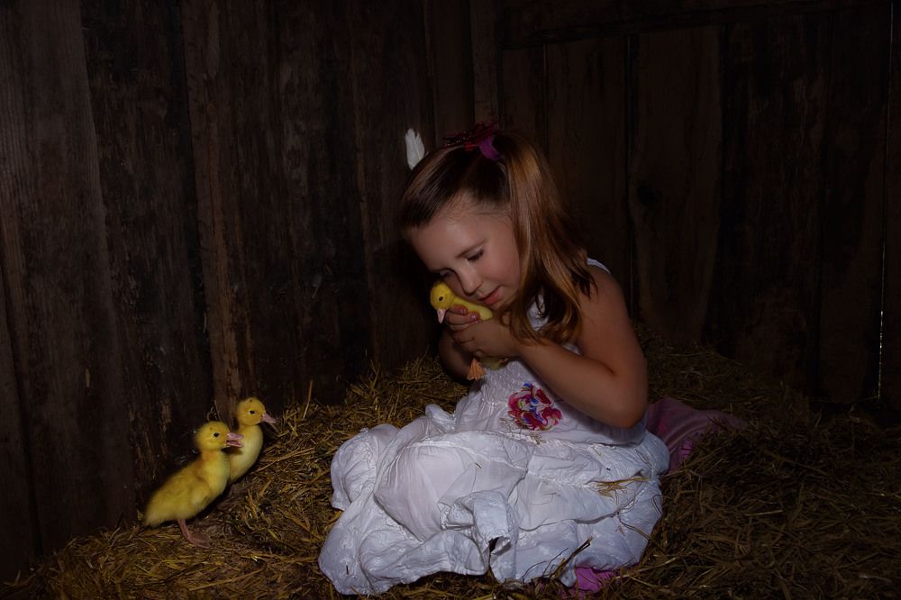 Photograph by Veronika Pershyna