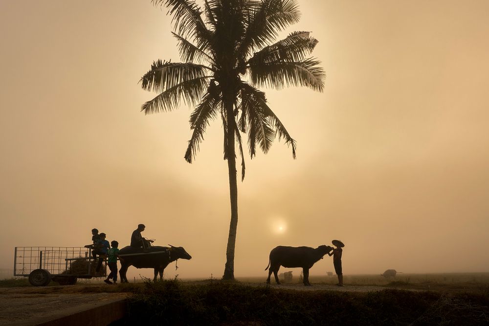 Photograph by muhd isa mamat