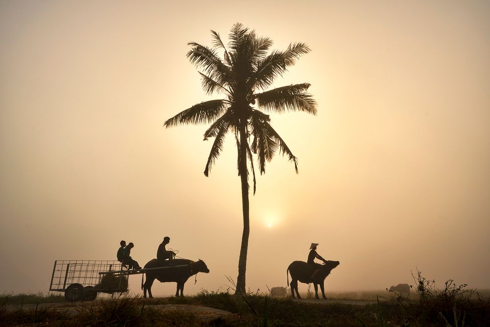 Photograph by muhd isa mamat