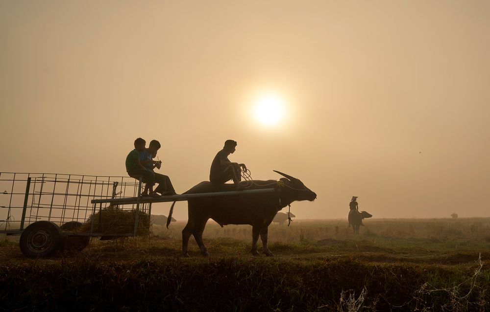 Photograph by muhd isa mamat