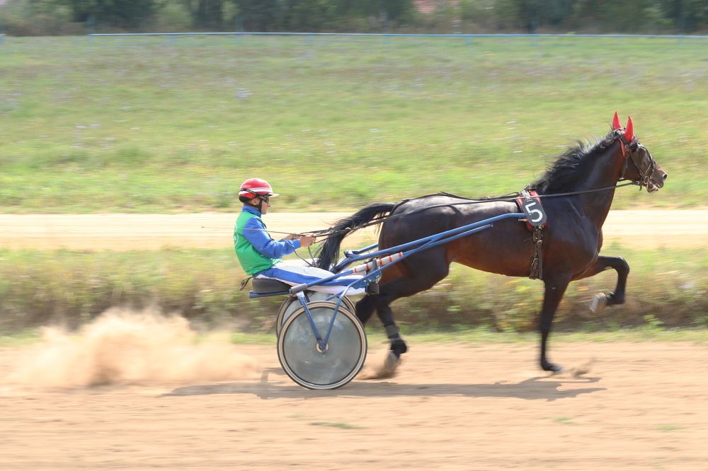 Photograph by Алексей