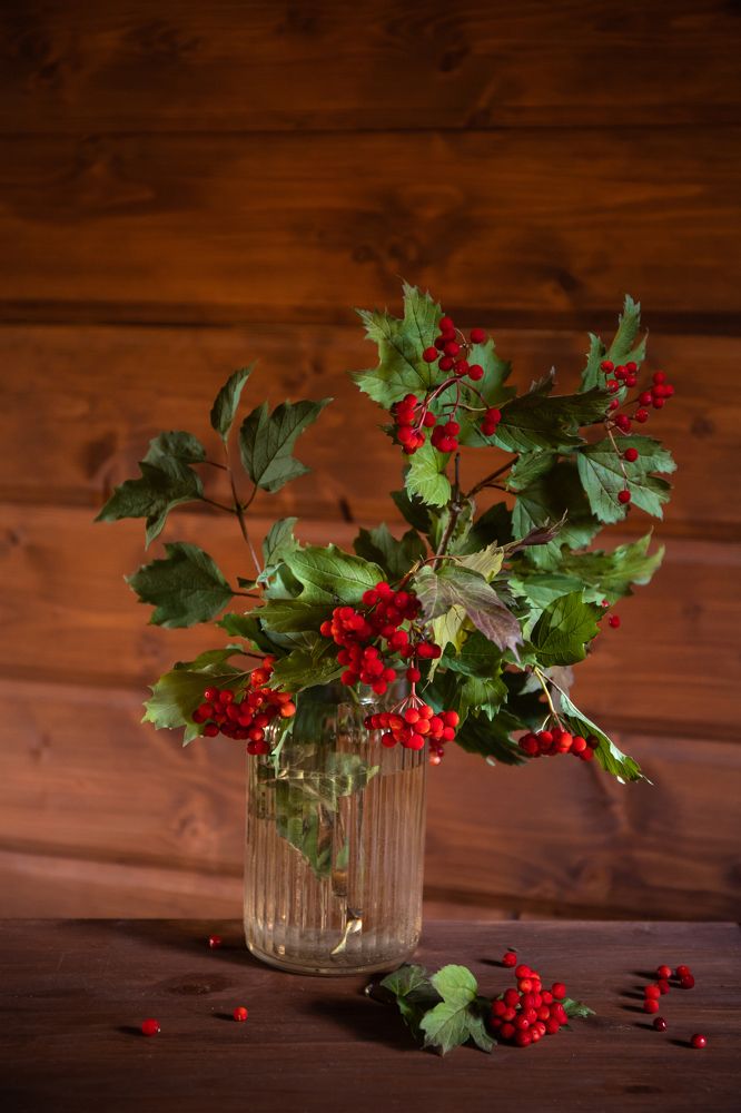 Photograph by Сергей Романченко