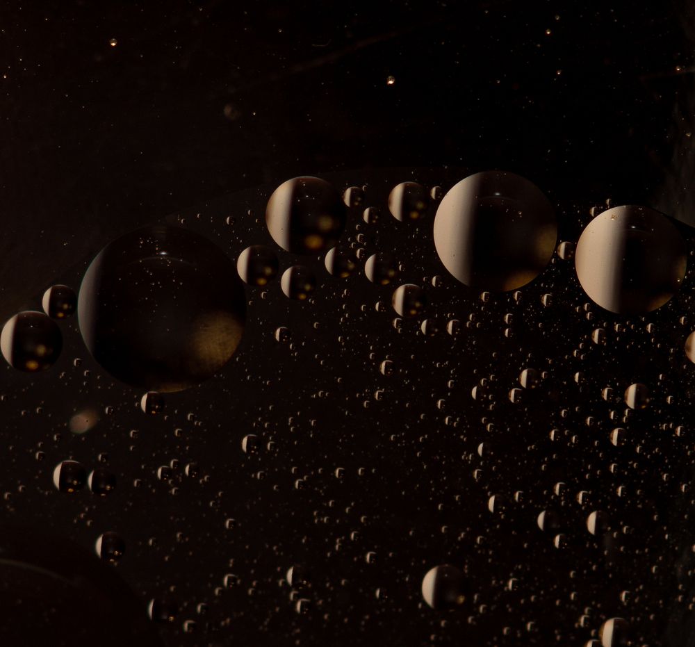 Photograph by Владимир Самосватов