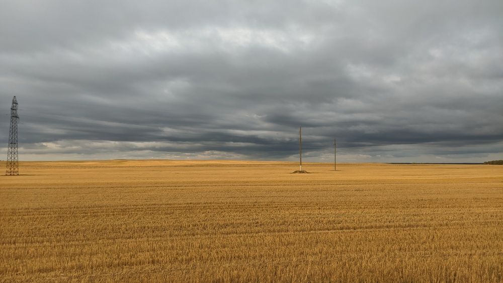 Photo #6403772