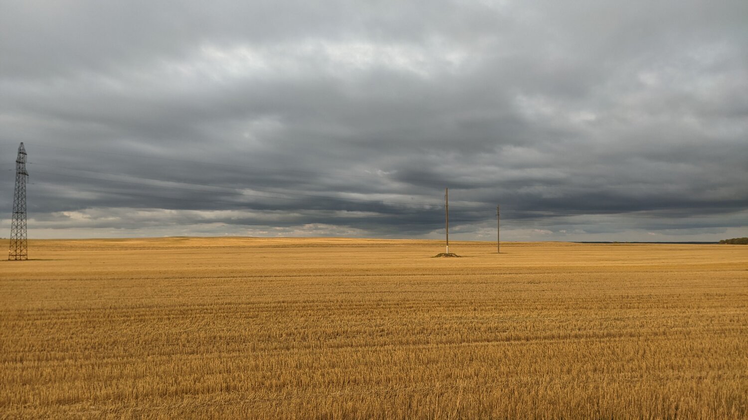 Photo #6403772