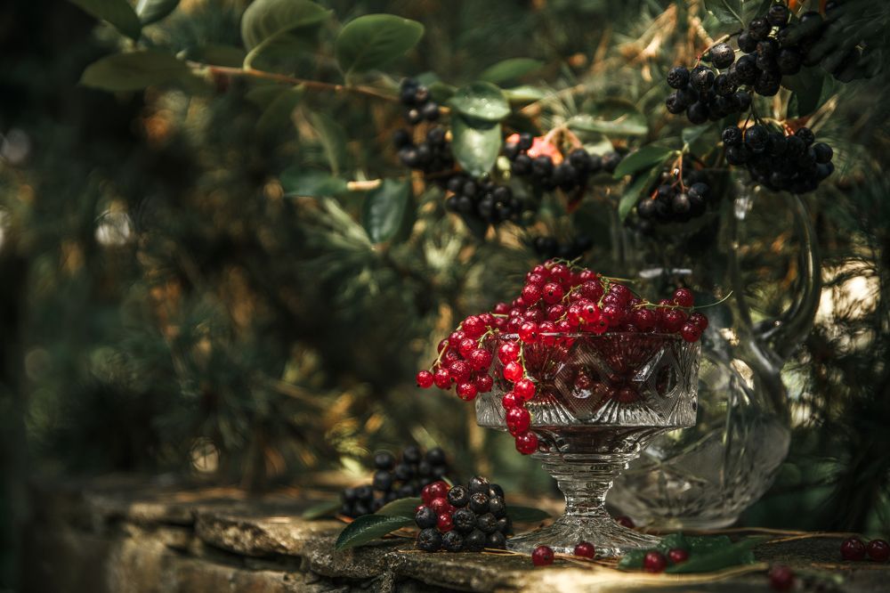 Photograph by Евгений Козлов