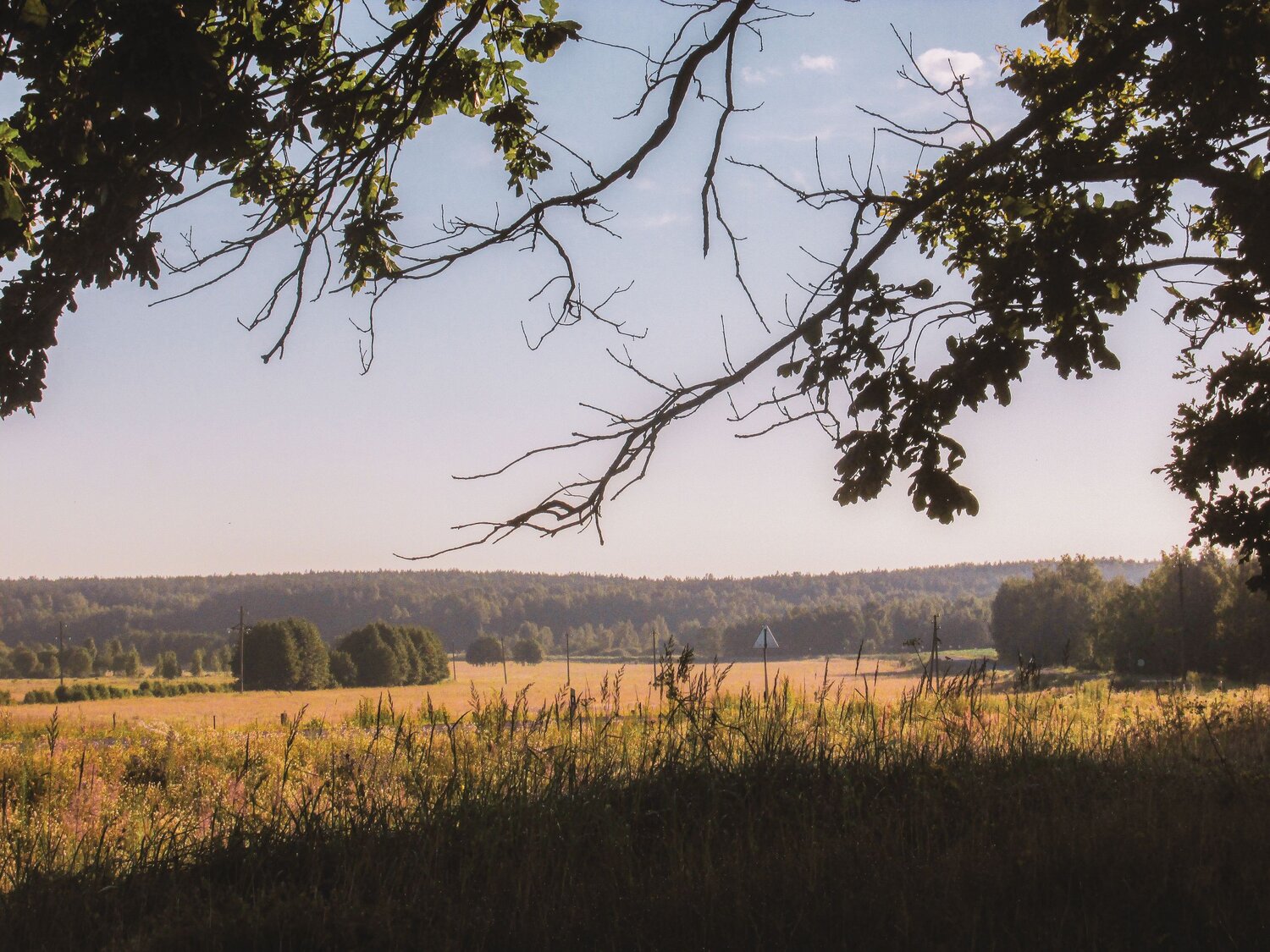 Photo #6403814