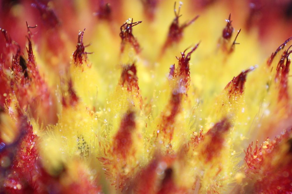 Photograph by Алексей