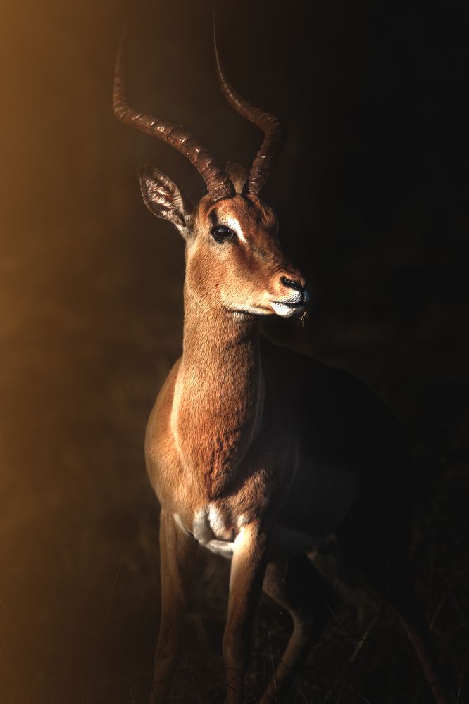 Photograph by Melanie Delamare