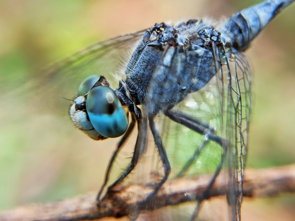 Photograph by Tariq amin Mansuri