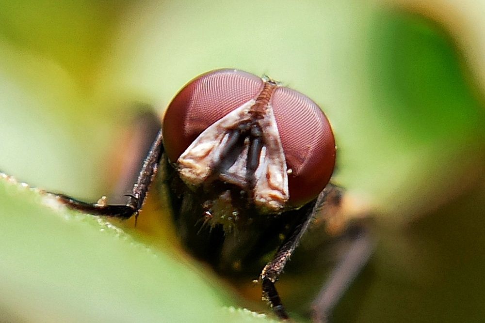 Photograph by Tariq amin Mansuri