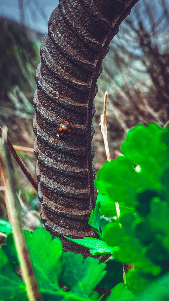 Photograph by Оксана Алейникова