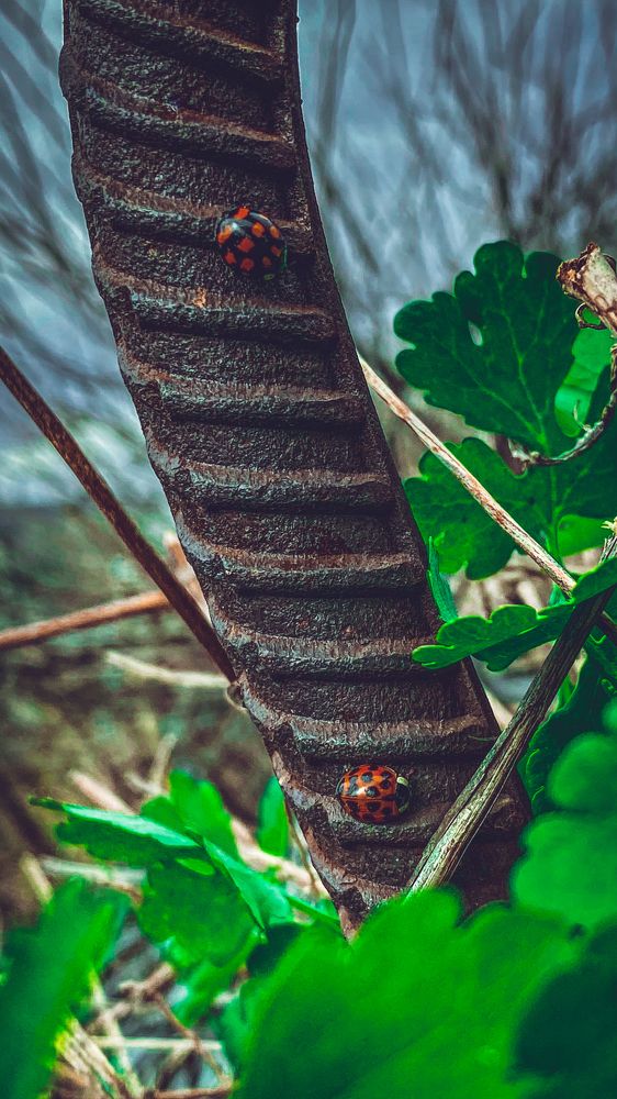 Photograph by Оксана Алейникова