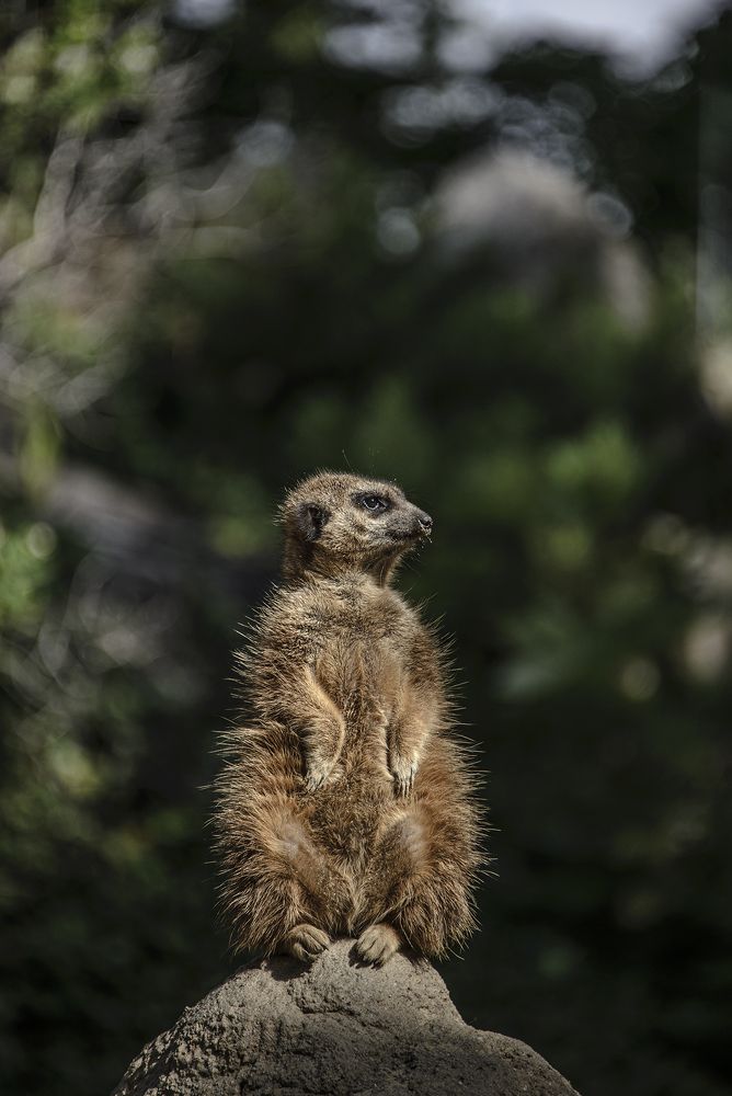 Photograph by Raivo Kremer