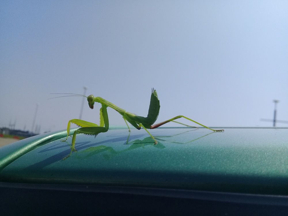 Photograph by Светлана Мазурова