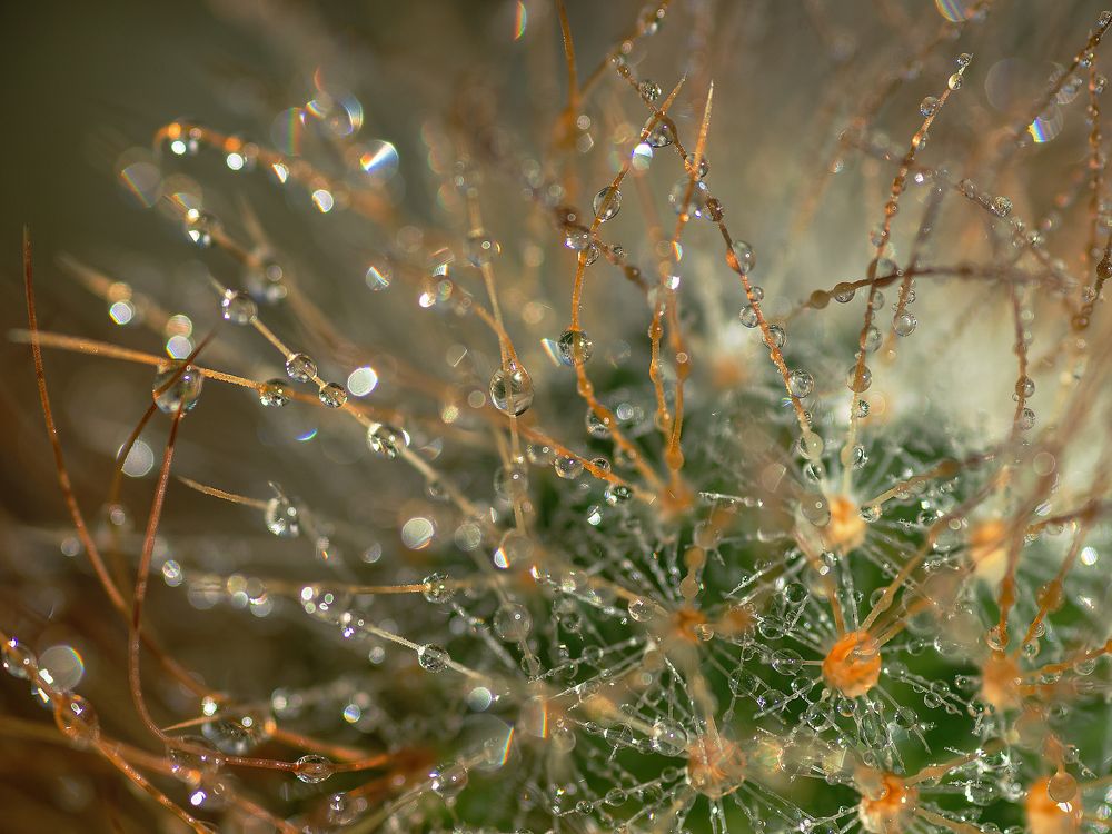 Photograph by Людмила