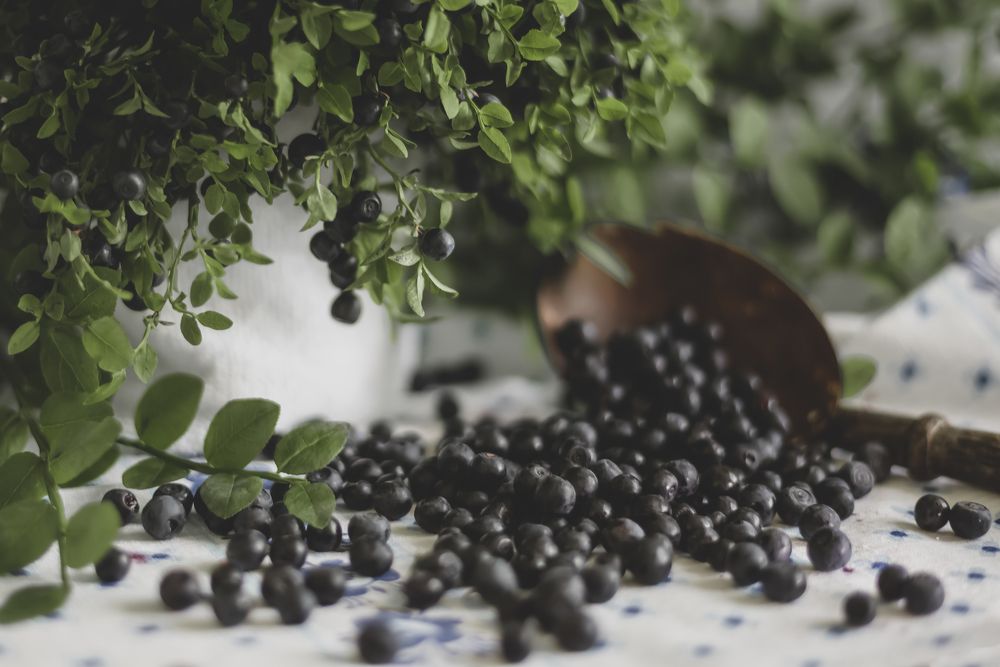 Photograph by Svetlana Zelyanina