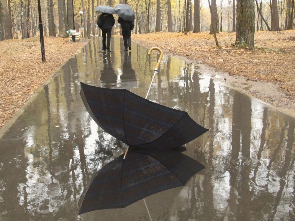 Осенняя бабочка