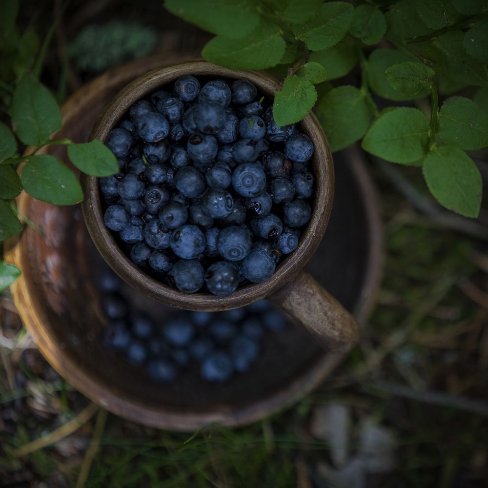 Photograph by Александр Игнатьев