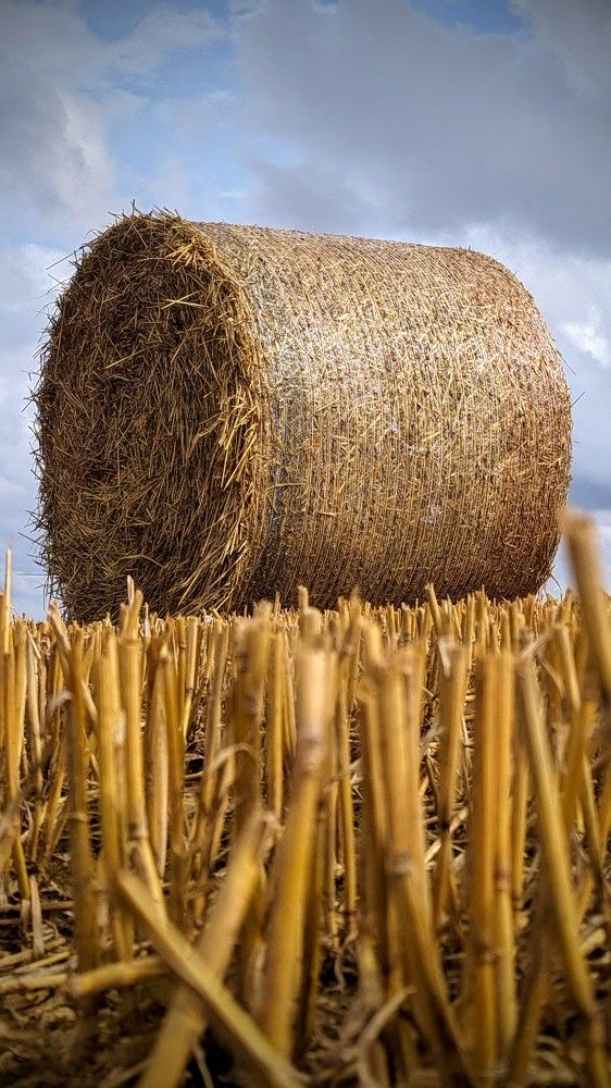 Photograph by Андрей