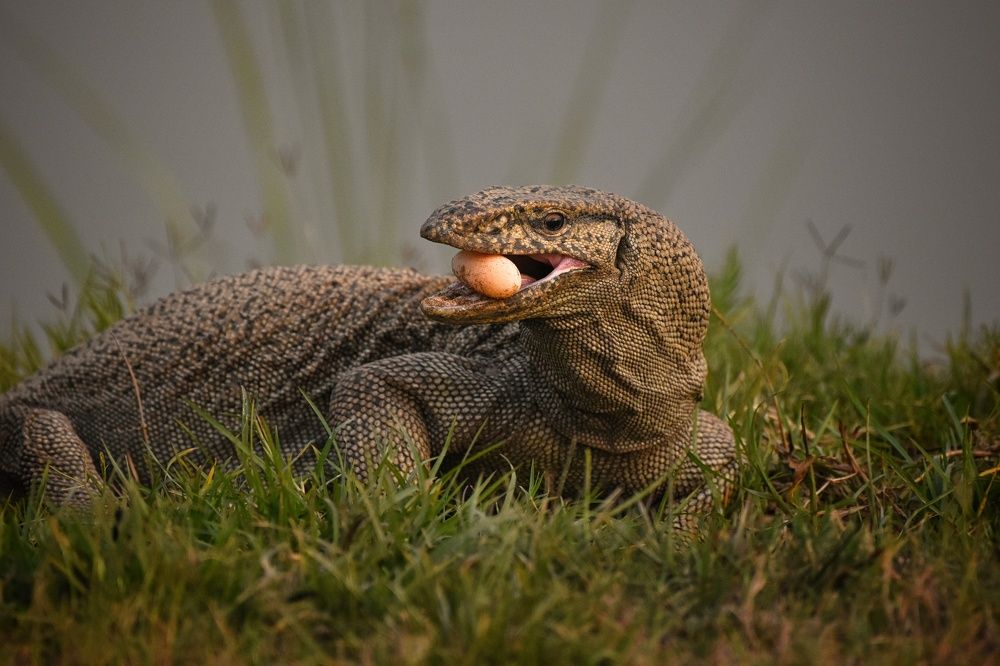 Photograph by Vijay Pakhare