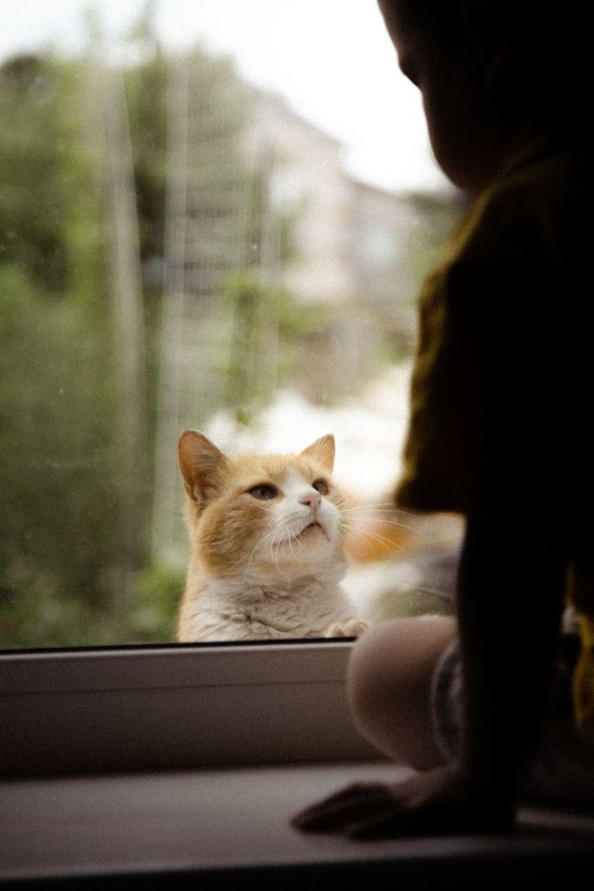 Photograph by Инна Тычная