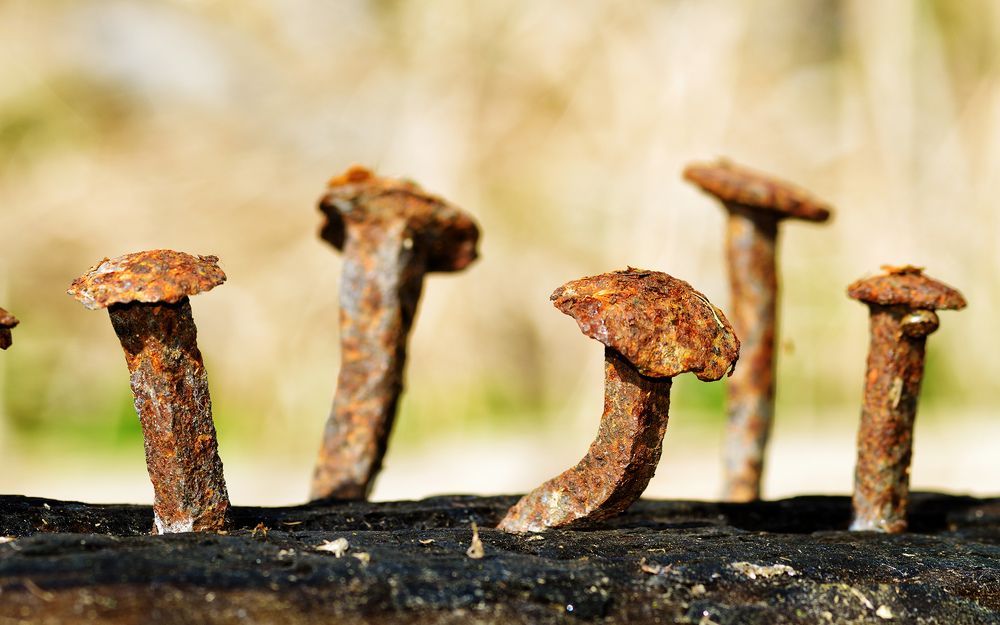 Photograph by Александр Клопков