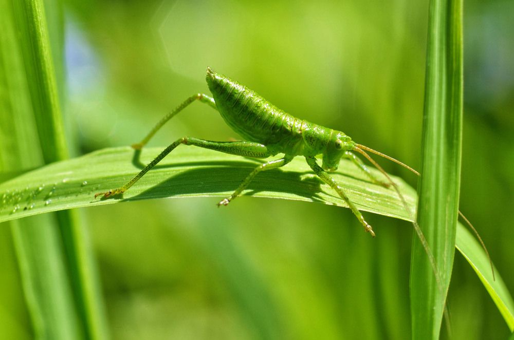 Photograph by Александр Клопков