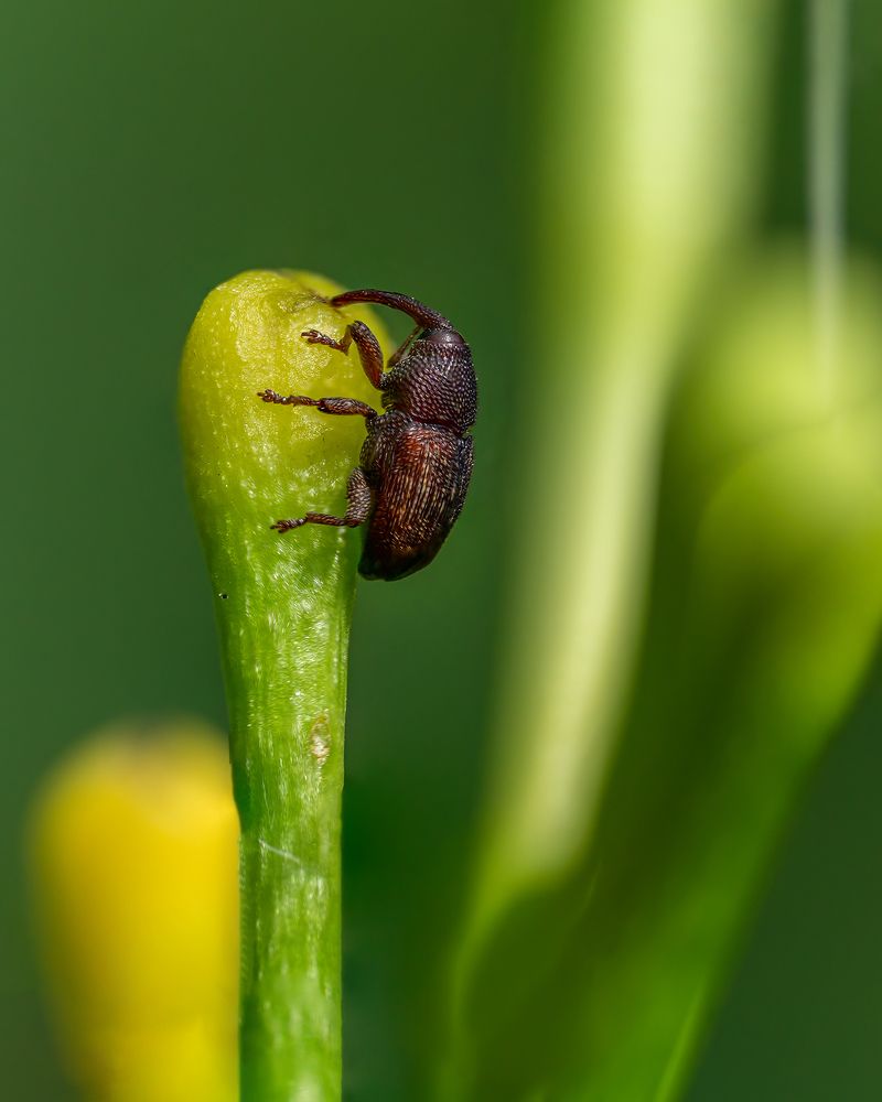 Photograph by Kushan Madushanka Sonnadara