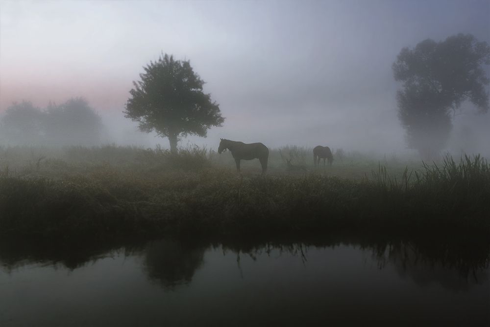 Photograph by Василий Ивков