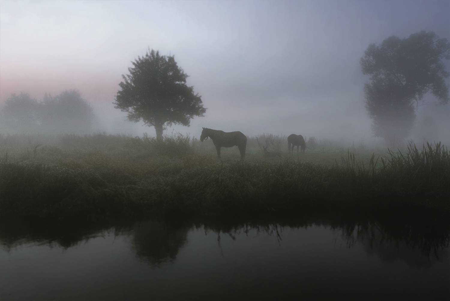 Photo #6404364