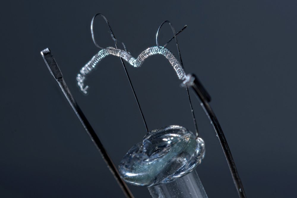 Photograph by Антон Бойков