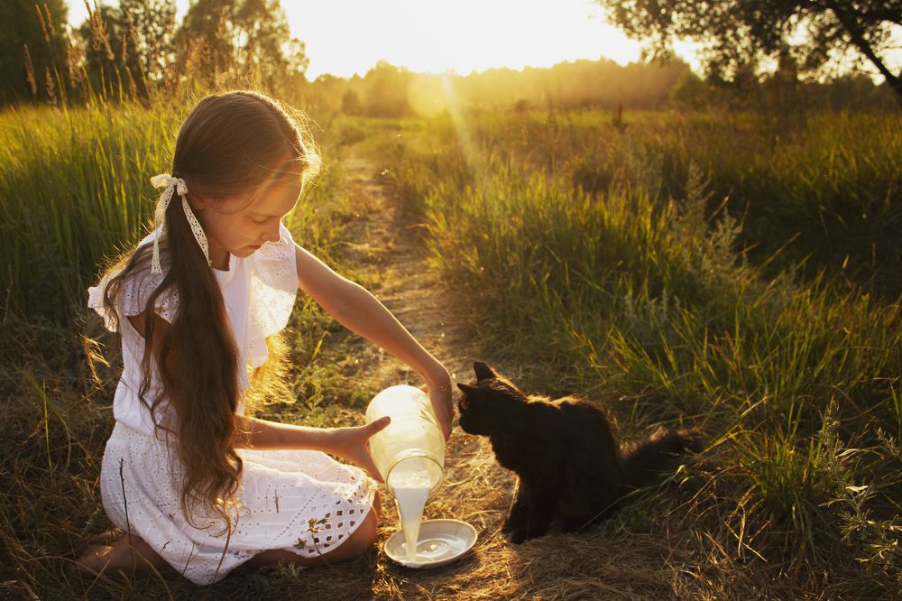 Photograph by Светлана Осипова