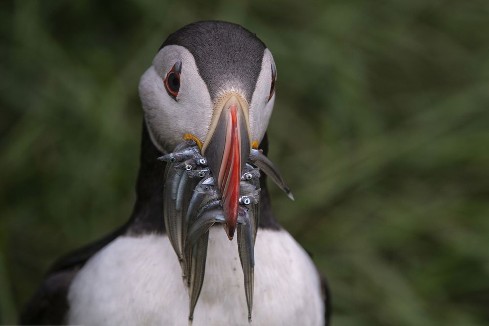 Photograph by Ernestas Balcikonis