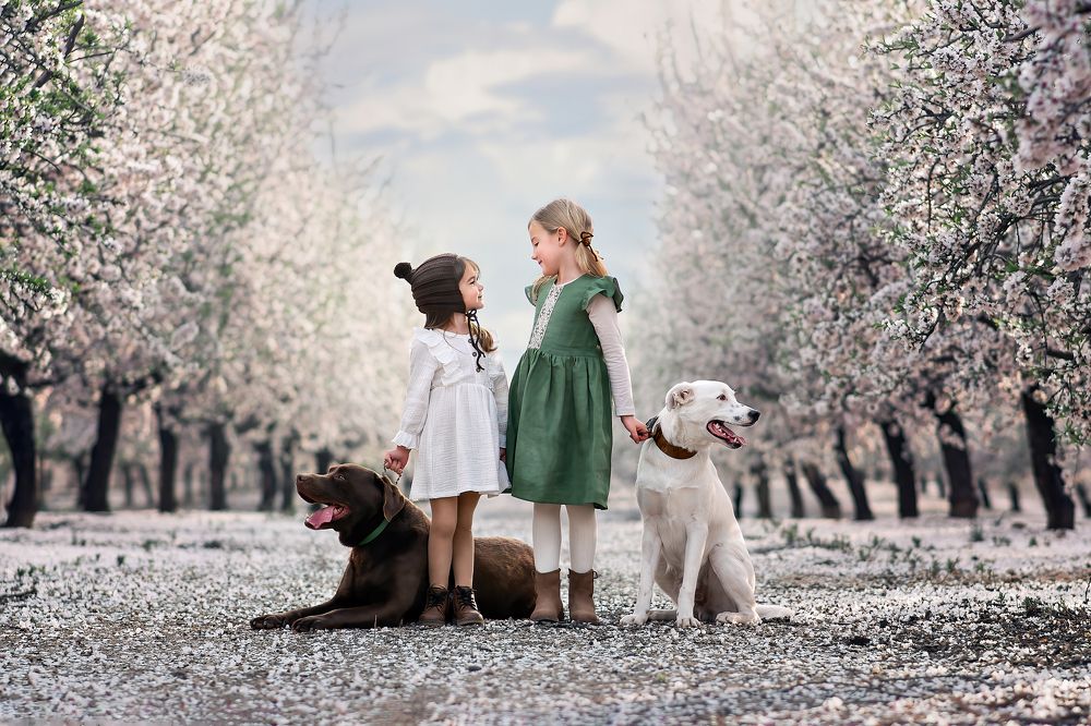 Photograph by Claudia Marzo