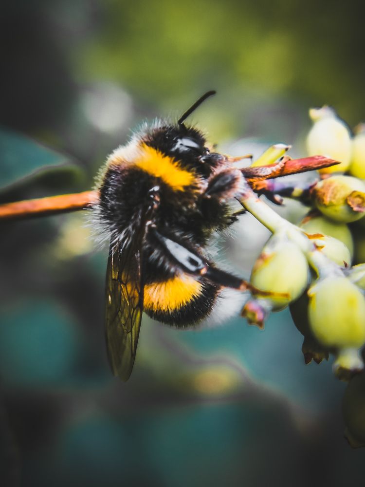 Photograph by Николаев Роман