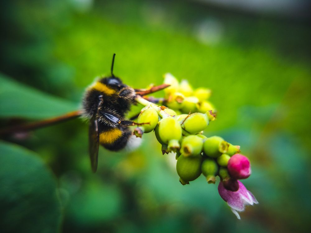 Photograph by Николаев Роман