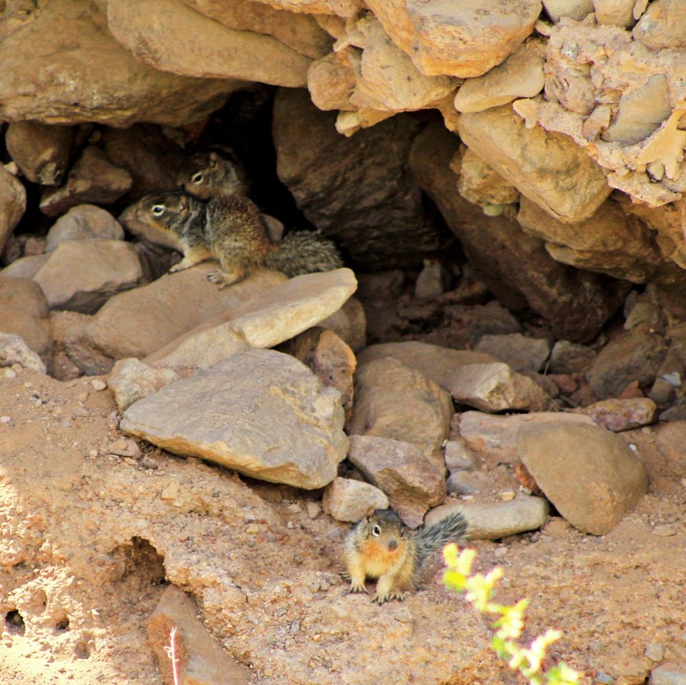Photograph by Pérez valdez Joel