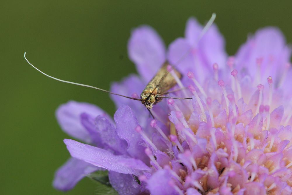 Photograph by Анна-Лаймуте Милошевич