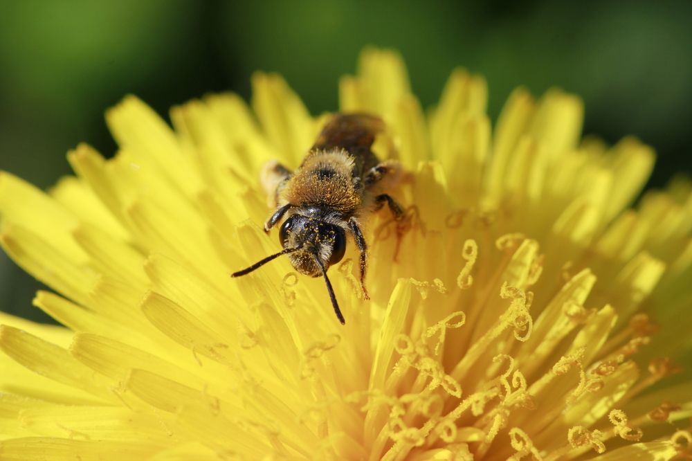 Photograph by Анна-Лаймуте Милошевич