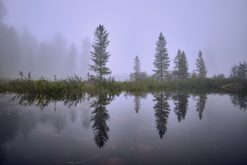Photograph by Дмитрий Лепаков