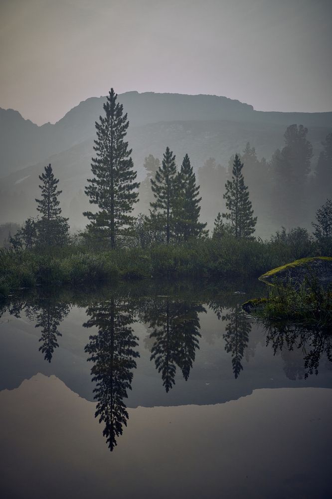 Photograph by Дмитрий Лепаков