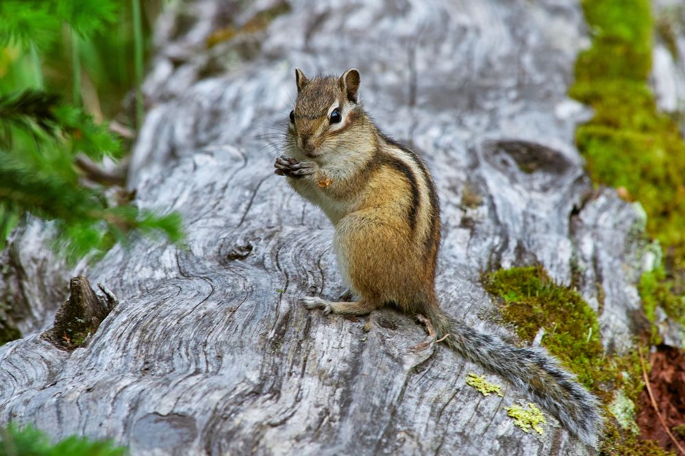Photograph by Дмитрий Лепаков