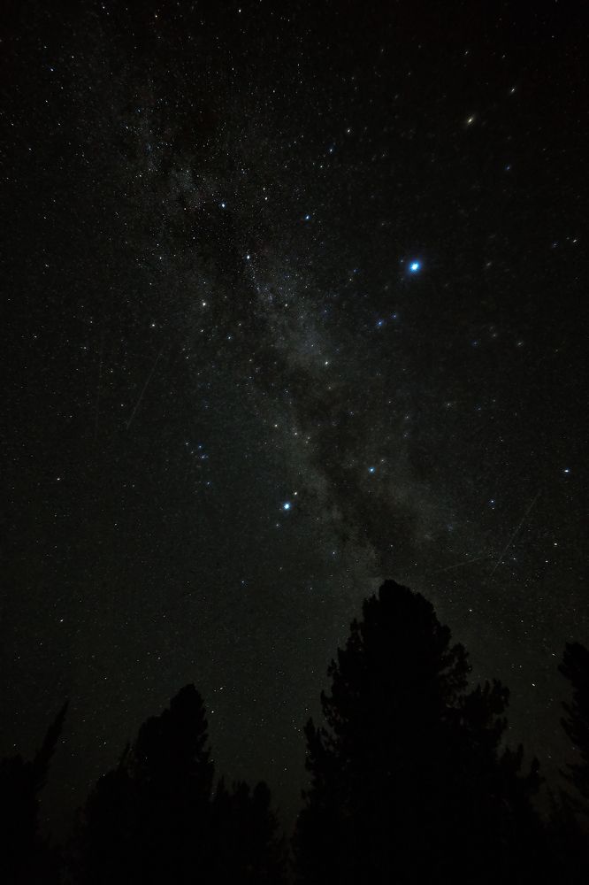 Photograph by Дмитрий Лепаков