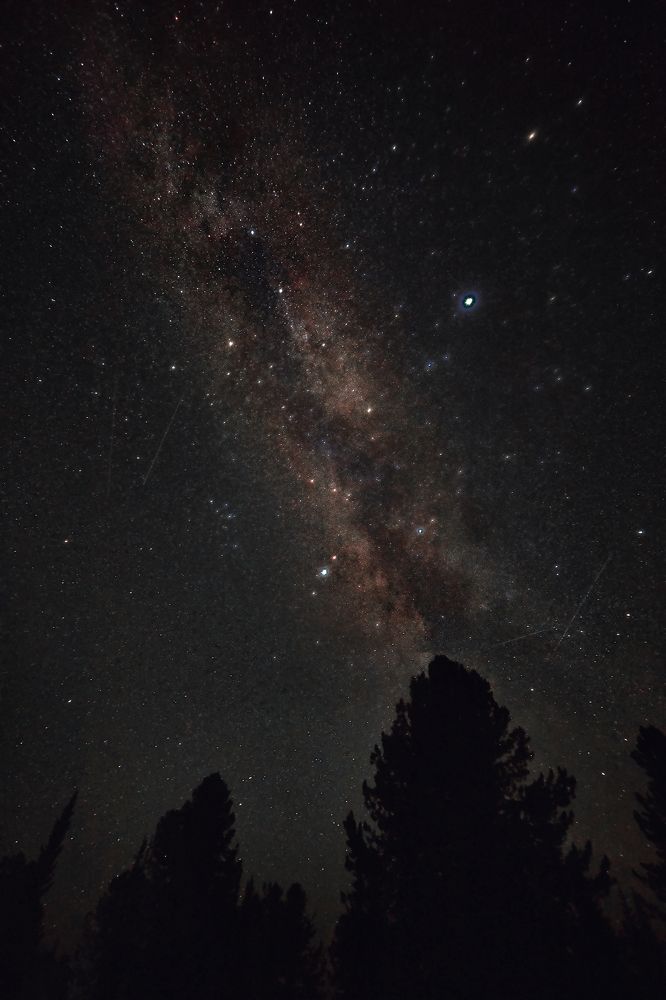 Photograph by Дмитрий Лепаков